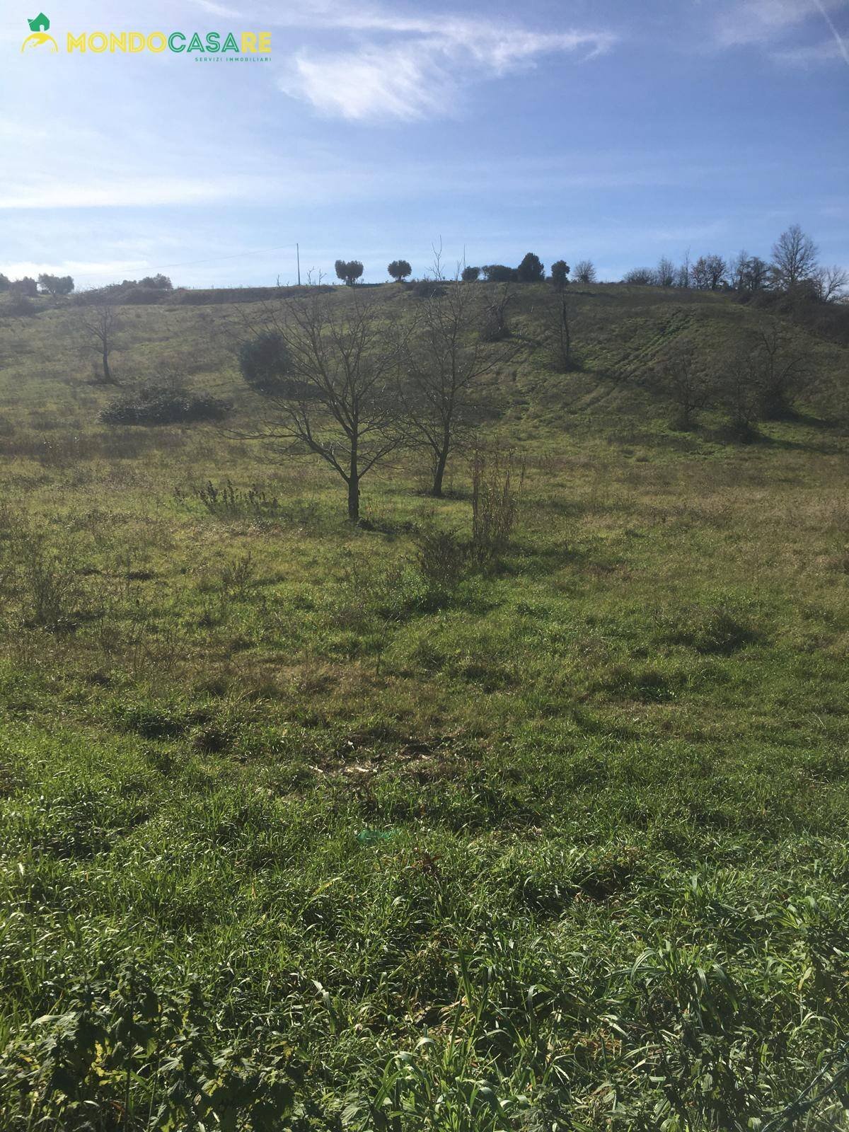 Foto 2 - Terreno agricolo Via Sant'Angelo, Guidonia Montecelio - foto 2
