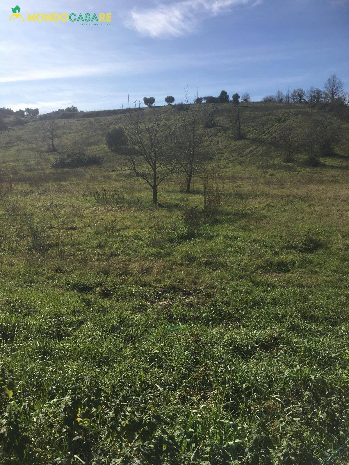 Foto 3 - Terreno agricolo Via Sant'Angelo, Guidonia Montecelio - foto 3
