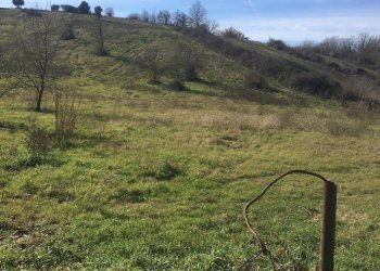 Foto 1 - Terreno agricolo Via Sant'Angelo, Guidonia Montecelio - foto 1