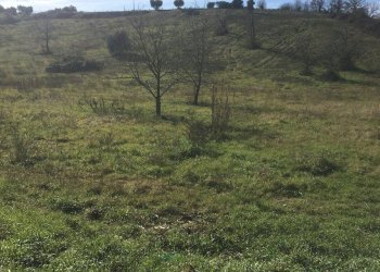 Foto 2 - Terreno agricolo Via Sant'Angelo, Guidonia Montecelio - foto 2