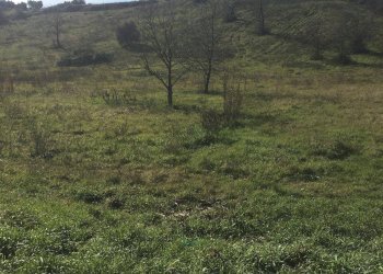 Foto 3 - Terreno agricolo Via Sant'Angelo, Guidonia Montecelio - foto 3