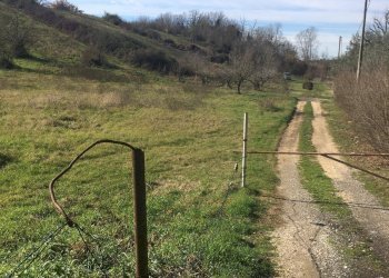 Foto 4 - Terreno agricolo Via Sant'Angelo, Guidonia Montecelio - foto 4