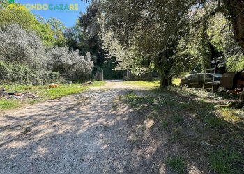 Foto 7 - Villa strada degli inglesi, Fara in Sabina - foto 7
