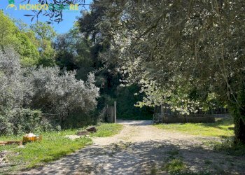 Foto 8 - Villa strada degli inglesi, Fara in Sabina - foto 8