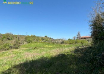 Foto 22 - Villa strada degli inglesi, Fara in Sabina - foto 22
