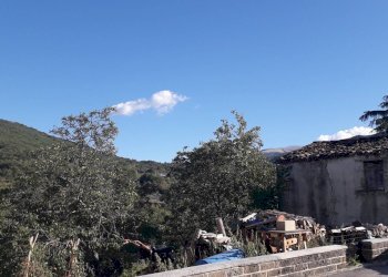 Foto 17 - Casa indipendente Via Silvio Mancini, Serramonacesca - foto 17