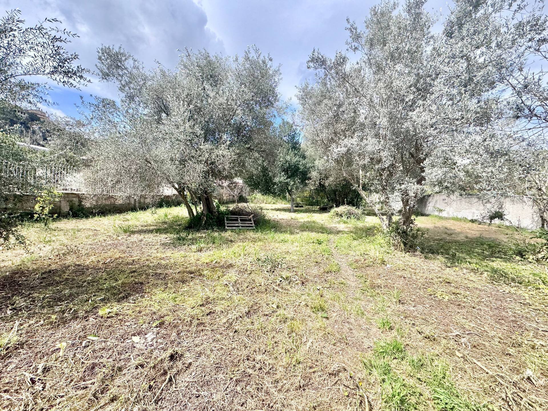Foto 1 - Terreno agricolo Via Luigi Cosenz, Palermo - foto 1