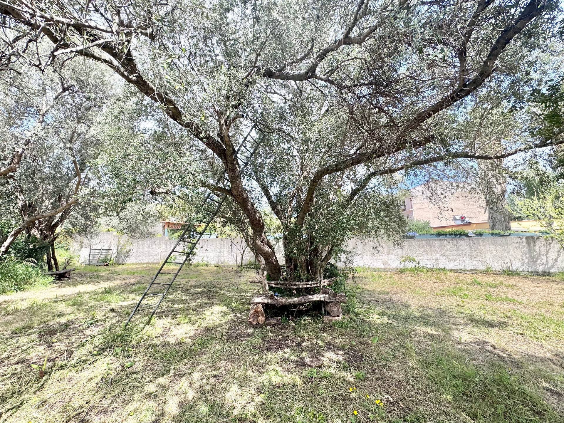 Foto 2 - Terreno agricolo Via Luigi Cosenz, Palermo - foto 2
