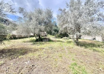 Foto 1 - Terreno agricolo Via Luigi Cosenz, Palermo - foto 1