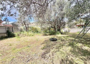 Foto 3 - Terreno agricolo Via Luigi Cosenz, Palermo - foto 3