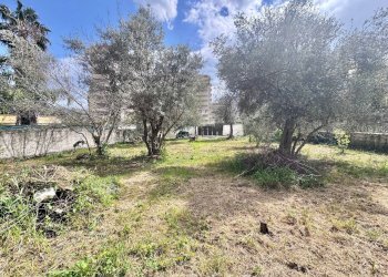 Foto 4 - Terreno agricolo Via Luigi Cosenz, Palermo - foto 4