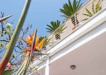 Foto 5 - Villa Via Aurelia
 
136N, Santa Marinella - foto 5