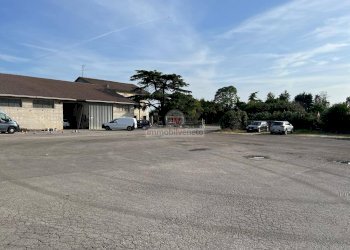 Foto 4 - Capannone VIA DEL LAVORO, Lonigo - foto 4