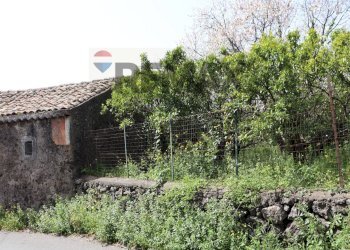 Giardino - Terreno agricolo Via Civì
 
27, Fiumefreddo di Sicilia - foto 5