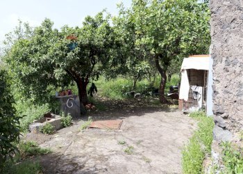 Giardino - Terreno agricolo Via Civì
 
27, Fiumefreddo di Sicilia - foto 8