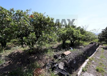 Giardino - Terreno agricolo SP5ii
 
43, Giarre - foto 1