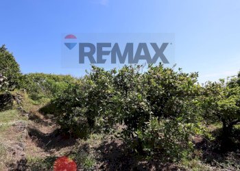 Giardino - Terreno agricolo SP5ii
 
43, Giarre - foto 2