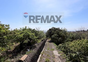 Giardino - Terreno agricolo SP5ii
 
43, Giarre - foto 3