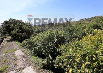 Giardino - Terreno agricolo SP5ii
 
43, Giarre - foto 4