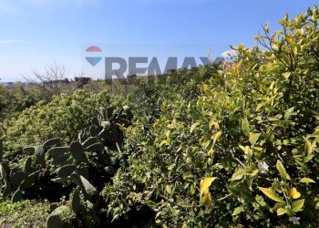 Giardino - Terreno agricolo SP5ii
 
43, Giarre - foto 6