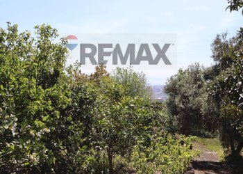 Giardino - Terreno agricolo SP5ii
 
43, Giarre - foto 10