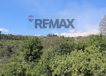 Vista delle montagne - Terreno agricolo SP5ii
 
43, Giarre - foto 15