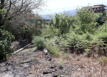 Giardino - Terreno agricolo SP5ii
 
43, Giarre - foto 24