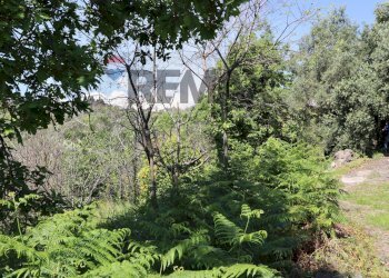 Giardino - Terreno agricolo SP5ii
 
43, Giarre - foto 28