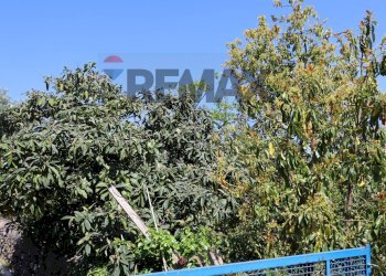 Giardino - Terreno agricolo SP5ii
 
43, Giarre - foto 29