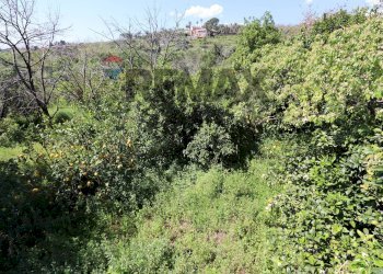 Giardino - Terreno agricolo SP5ii
 
43, Giarre - foto 32