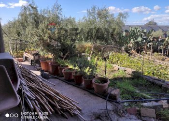 Balcone - Warehouse contrada marvezzaro
 
47, Paterno - photo 10