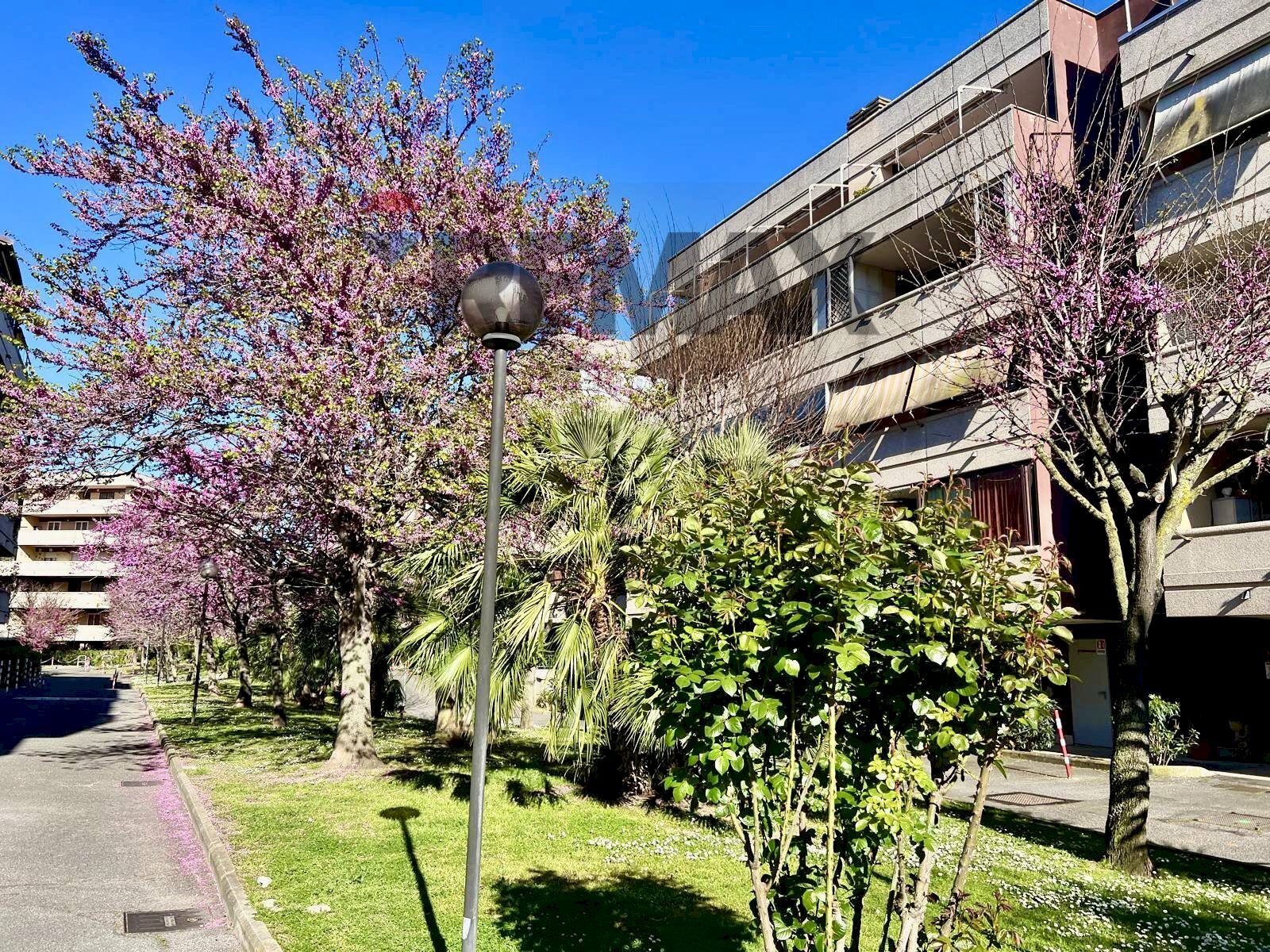 Edificio all\'aperto - Attico Via Nino Taranto
 
30, Roma - foto 3