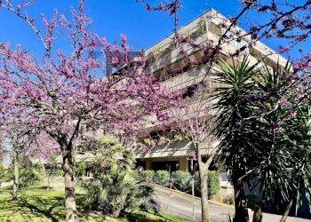 Edificio all\'aperto - Attico Via Nino Taranto
 
30, Roma - foto 28