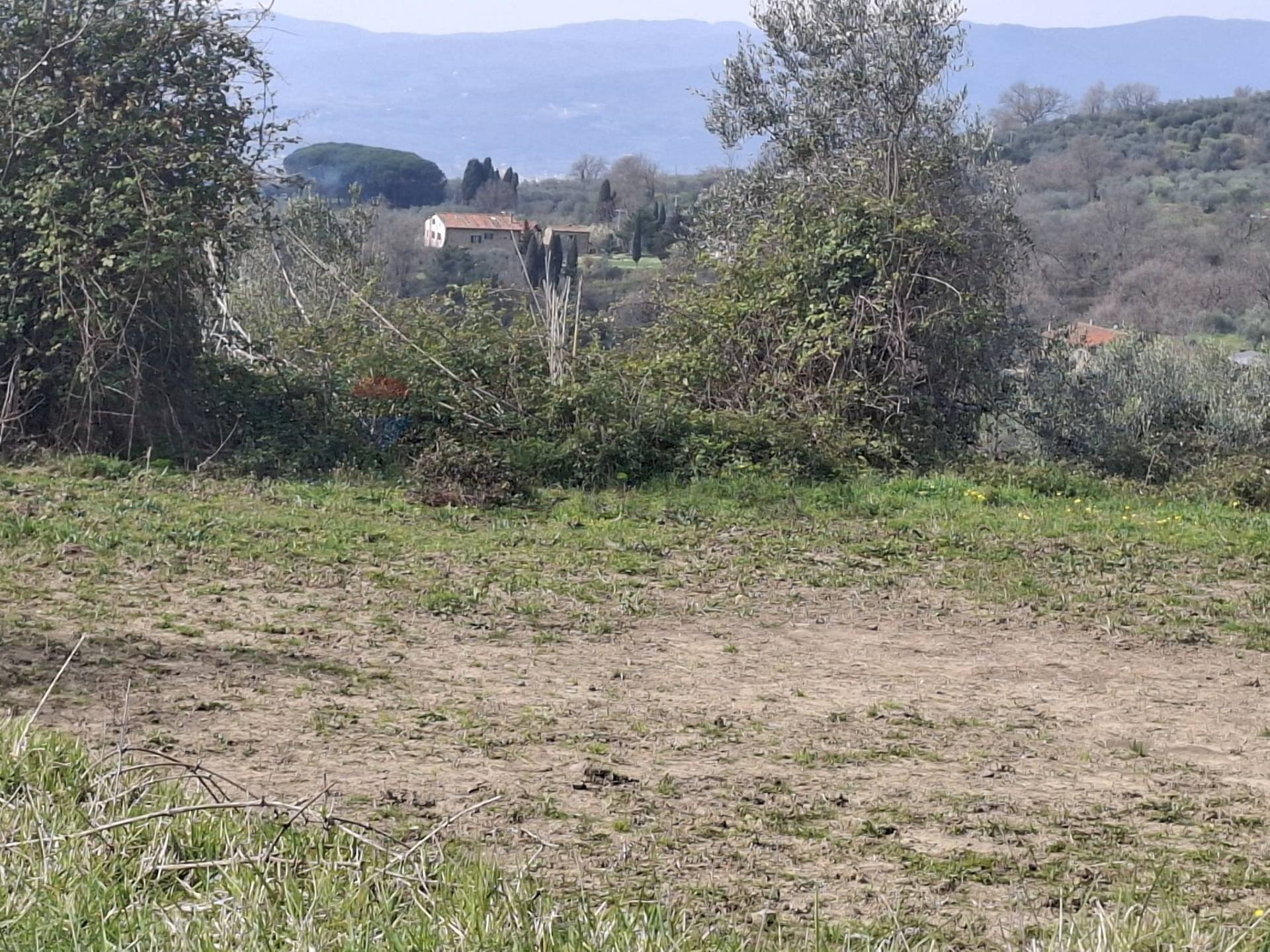 Non correlato - Terreno agricolo Via di Casalivo
 
snc, Castelfranco Piandiscò - foto 2
