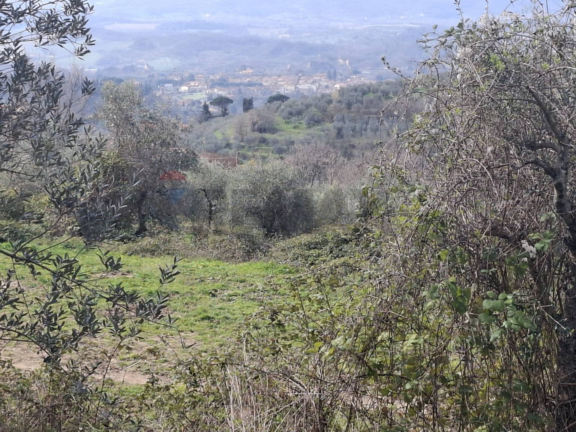 Non correlato - Terreno agricolo Via di Casalivo
 
snc, Castelfranco Piandiscò - foto 3