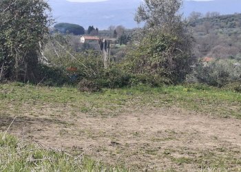Non correlato - Terreno agricolo Via di Casalivo
 
snc, Castelfranco Piandiscò - foto 2