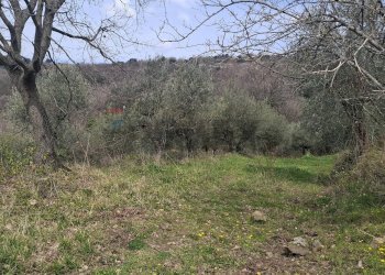 Vista delle montagne - Terreno agricolo Via di Casalivo
 
snc, Castelfranco Piandiscò - foto 5