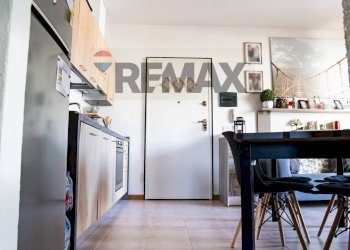 Cucina - Bilocale Rosignano Marittimo - foto 5