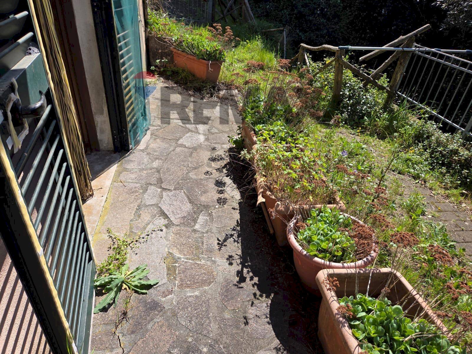 Giardino - Trilocale Monteverdi Marittimo - foto 3