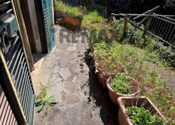 Giardino - Trilocale Monteverdi Marittimo - foto 3