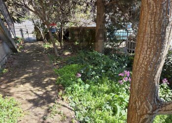 Giardino - Trilocale Monteverdi Marittimo - foto 5