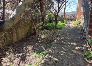 Giardino - Trilocale Monteverdi Marittimo - foto 14