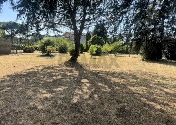 Giardino - Villa Via Romana
 
190/A, Mazzano Romano - photo 57