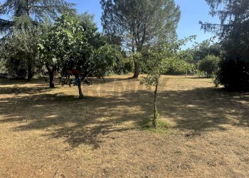 Giardino - Villa Via Romana
 
190/A, Mazzano Romano - photo 61