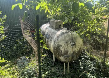 Giardino - Villa Via Romana
 
190/A, Mazzano Romano - photo 63