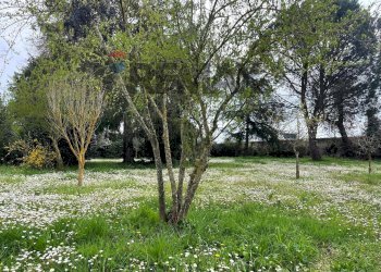 Giardino - Villa Via Romana
 
190/A, Mazzano Romano - photo 68