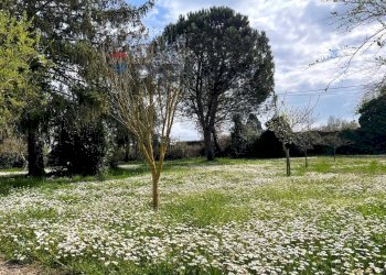 Giardino - Villa Via Romana
 
190/A, Mazzano Romano - photo 70