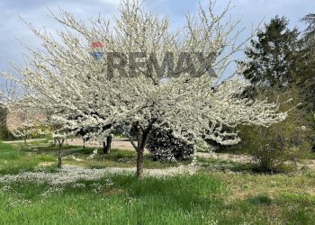 Giardino - Villa Via Romana
 
190/A, Mazzano Romano - photo 72