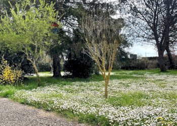 Giardino - Villa Via Romana
 
190/A, Mazzano Romano - photo 74