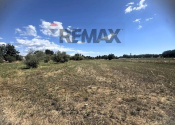 Vista delle montagne - Villa Via Romana
 
190/A, Mazzano Romano - photo 76